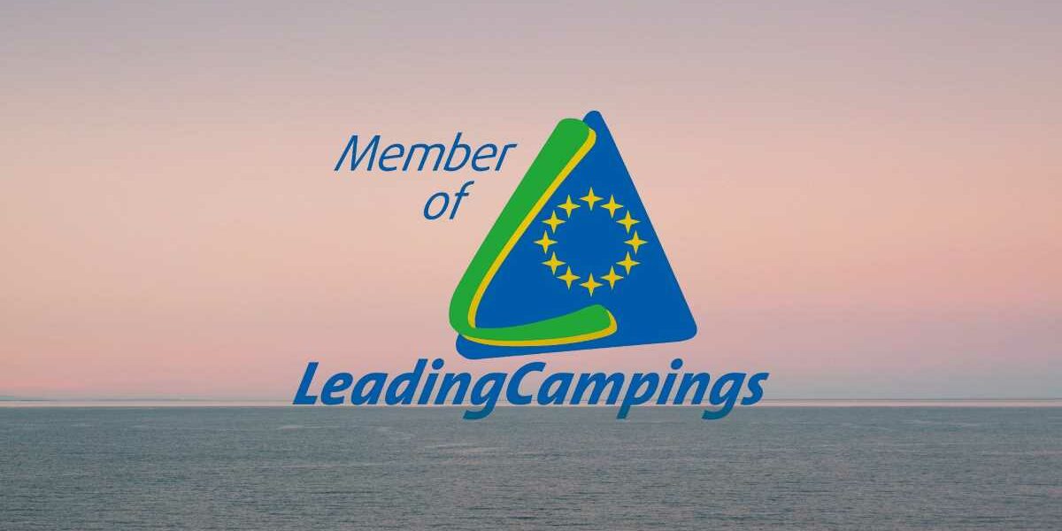 les-criques-de-porteil-actualite-leading-camping